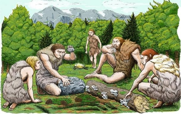 Người Neanderthal săn bắn nhưng cũng hái lượm và nấu chín thức ăn của họ. Người Neanderthal săn bắn nhưng cũng hái lượm và nấu chín thức ăn của họ.