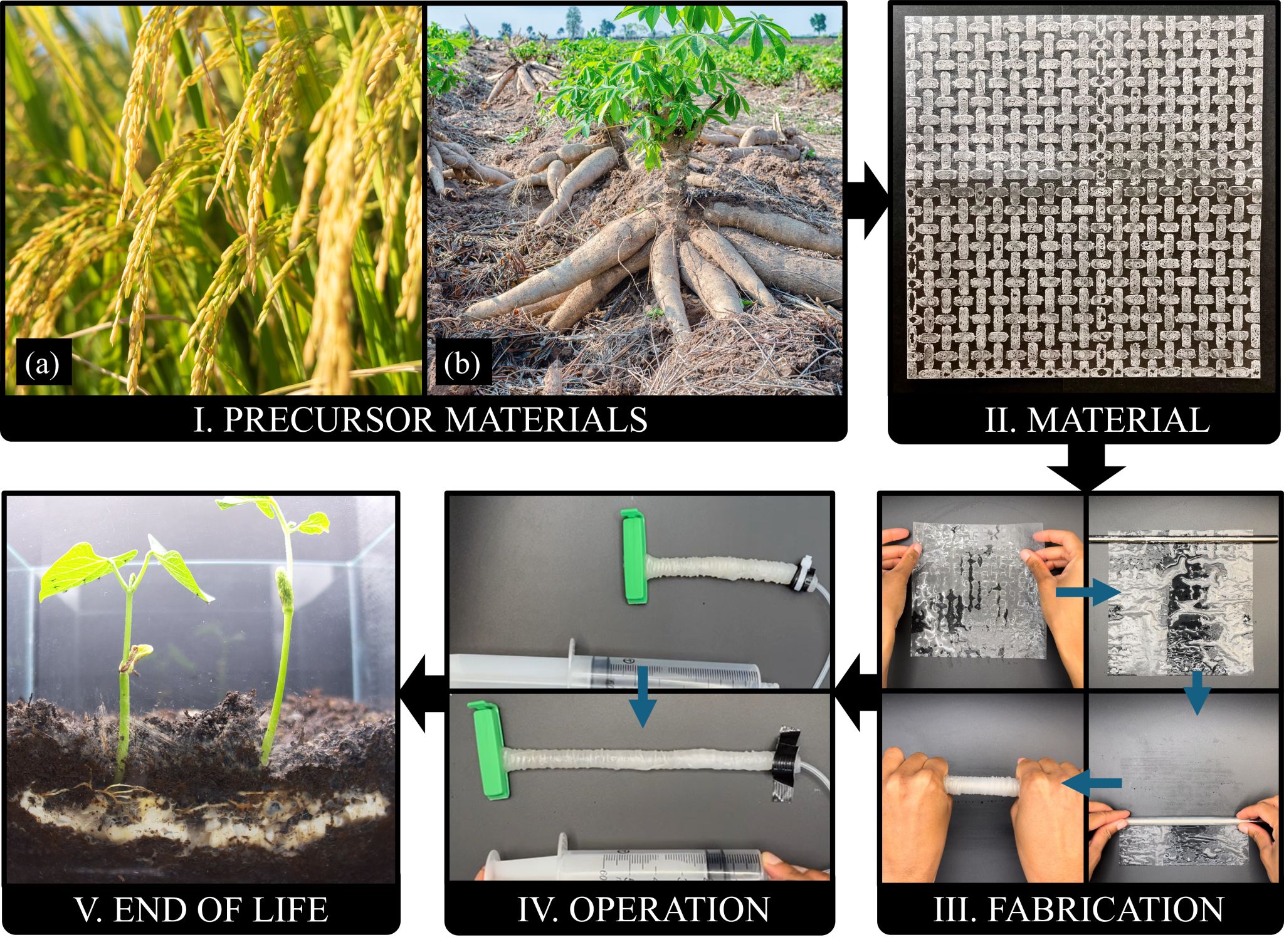 Ảnh nghiên cứu: Andrew T.Conn/Đại học Bristol. Ảnh nghiên cứu: Andrew T.Conn/Đại học Bristol.