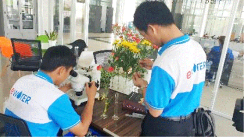 Nghiên cứu, thử nghiệm nước ion đồng dùng trong bảo quản hoa tươi Nghiên cứu, thử nghiệm nước ion đồng dùng trong bảo quản hoa tươi