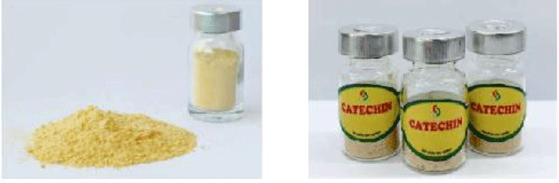 Bột catechin được chiết xuất từ lá chè xanh Bột catechin được chiết xuất từ lá chè xanh