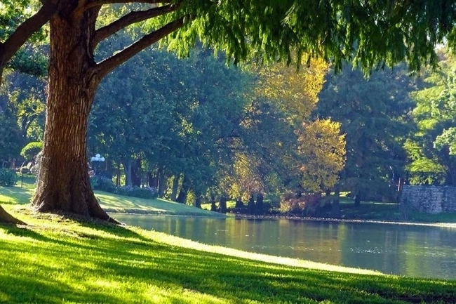 Thiên nhiên giúp giảm căng thẳng và tìm lại ý nghĩa cuộc sống - Ảnh: Internet Thiên nhiên giúp giảm căng thẳng và tìm lại ý nghĩa cuộc sống - Ảnh: Internet