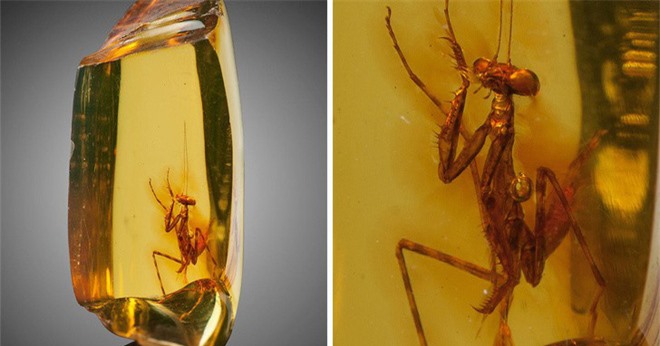 Thiên nhiên đôi khi kỳ ảo đến mức nếu không được chụp lại, chẳng ai tin đó là thật - Ảnh 13. Thiên nhiên đôi khi kỳ ảo đến mức nếu không được chụp lại, chẳng ai tin đó là thật - Ảnh 13.